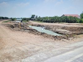 ขายที่ดิน ใน หนองเสือ ปทุมธานี, บึงชำอ้อ, หนองเสือ, ปทุมธานี