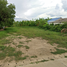  Land for sale in Kamphaeng Phet, Lan Krabue, Lan Krabue, Kamphaeng Phet