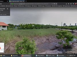  Land for sale in Ngio Rai, Nakhon Chai Si, Ngio Rai