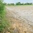  Land for sale in Nong Chang Uthai Thani, Nong Chang, Nong Chang