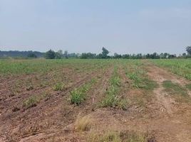  Land for sale in Noen Kham, Chai Nat, Suk Duean Ha, Noen Kham