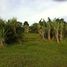  Land for sale in Thalang, Phuket, Pa Khlok, Thalang