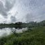  Land for sale in Phuket, Choeng Thale, Thalang, Phuket