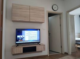 1 Schlafzimmer Appartement zu verkaufen im Hasu Haus, Phra Khanong Nuea, Watthana