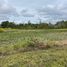  Land for sale in Lintong Nihuta, North Sumatera, Lintong Nihuta, Tapanuli Utara