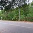  Land for sale in Pa Khlok, Phuket, Pa Khlok, Thalang