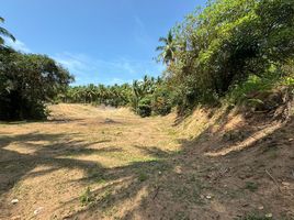  Grundstück zu verkaufen in Ko Pha-Ngan, Surat Thani, Ban Tai, Ko Pha-Ngan