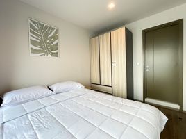 1 Schlafzimmer Wohnung zu vermieten im Life Ladprao Valley, Chomphon