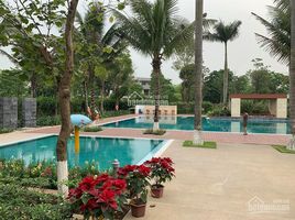 4 Schlafzimmer Villa zu verkaufen in Van Giang, Hung Yen, Xuan Quan