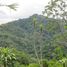  Grundstück zu verkaufen im Dominical, Aguirre, Puntarenas