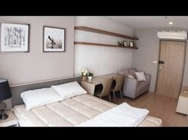 1 Bedroom Apartment for rent at Ideo O2, Bang Na