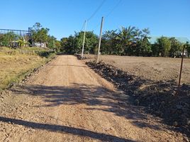  Land for sale in Mueang Maha Sarakham, Maha Sarakham, Koeng, Mueang Maha Sarakham