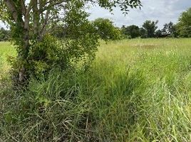  Land for sale in Mueang Nakhon Ratchasima, Nakhon Ratchasima, Si Mum, Mueang Nakhon Ratchasima