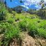  Land for sale in Distrito Central Francisco Morazan, Distrito Central, Francisco Morazan