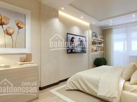 Studio Villa zu verkaufen in Tan Binh, Ho Chi Minh City, Ward 14