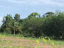  Grundstück zu verkaufen in Nam Yuen, Ubon Ratchathani, Dom Pradit, Nam Yuen