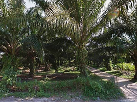  Land for sale in Thai Mueang, Phangnga, Na Toei, Thai Mueang