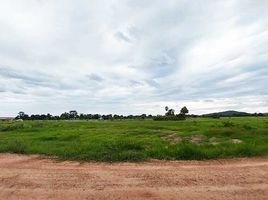  Grundstück zu verkaufen in Hankha, Chai Nat, Den Yai, Hankha, Chai Nat