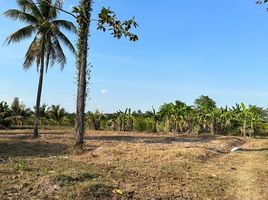  Land for sale in Khao Krapuk, Tha Yang, Khao Krapuk