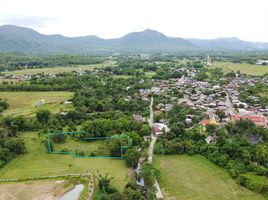  Grundstück zu verkaufen in Mae On, Chiang Mai, On Nuea