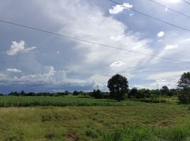  Grundstück zu verkaufen in Sikhio, Nakhon Ratchasima, Kritsana