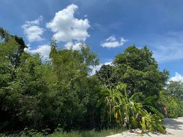  Land for sale in Thawi Watthana, Bangkok, Thawi Watthana, Thawi Watthana