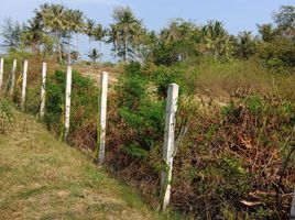  Land for sale in Nakhon Si Thammarat, Na Saton, Hua Sai, Nakhon Si Thammarat