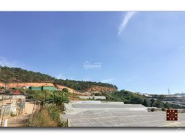 2 Bedroom House for sale in Lam Dong, Ward 12, Da Lat, Lam Dong
