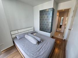 1 Schlafzimmer Wohnung zu vermieten im Ideo Mix Sukhumvit 103, Bang Na, Bang Na, Bangkok, Thailand