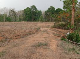  Земельный участок for sale in Chai Sathan, Mueang Nan, Chai Sathan