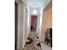 2 Bedroom Apartment for rent at El Rehab Extension, Al Rehab, New Cairo City