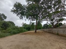  Land for sale in Chiang Mai National Museum, Chang Phueak, Chang Phueak