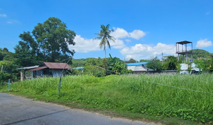 N/A Grundstück zu verkaufen in Ratsada, Phuket 