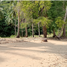  Land for sale in Pa Khlok, Phuket, Pa Khlok, Thalang