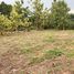  Land for sale in Wang Thong, Phitsanulok, Wang Thong, Wang Thong