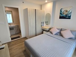 1 Schlafzimmer Appartement zu vermieten im Phyll Phuket by Central Pattana, Wichit, Phuket Town, Phuket, Thailand