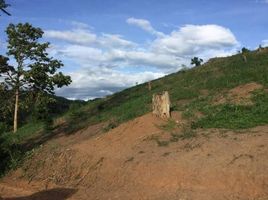  Grundstück zu verkaufen in Pai, Mae Hong Son, Wiang Nuea