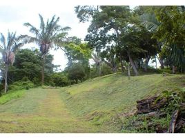  Grundstück zu verkaufen in Nicoya, Guanacaste, Nicoya