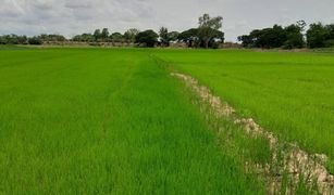 N/A Land for sale in Phlai Chumphon, Phitsanulok 