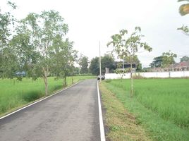  Land for sale in Chiang Mai, San Na Meng, San Sai, Chiang Mai