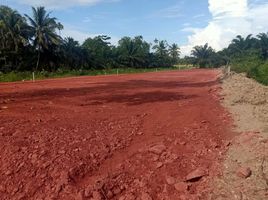  Grundstück zu verkaufen in Mueang Surat Thani, Surat Thani, Bang Sai