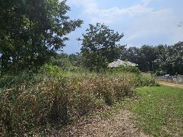 ขายที่ดิน ใน สัตหีบ ชลบุรี, บางเสร่, สัตหีบ