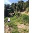  Land for sale in Nayarit, Compostela, Nayarit