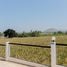  Grundstück zu verkaufen in Pran Buri, Prachuap Khiri Khan, Wang Phong, Pran Buri, Prachuap Khiri Khan