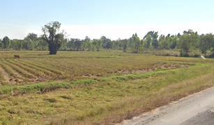 Земельный участок, N/A на продажу в Mueang Ling, Сурин 