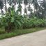  Land for sale in Surat Thani, Bo Phut, Koh Samui, Surat Thani