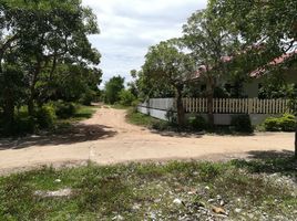  Land for sale in Chiang Mai, Ban Kat, Mae Wang, Chiang Mai