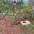  Land for sale in Jimenez Cartago, Jimenez, Cartago