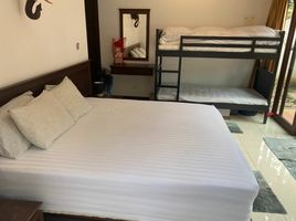 1 Schlafzimmer Wohnung zu verkaufen im Sai Naam, Ko Lanta Yai