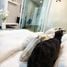 1 Bedroom Apartment for sale at Ratchada Prestige, Sam Sen Nok